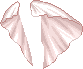 skirt crd