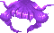 hair short bzf