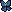 ribbon clp