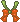 scarf cnq