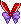 scarf cnv