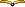 tiara ccl