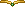 tiara cgr