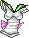 top dav